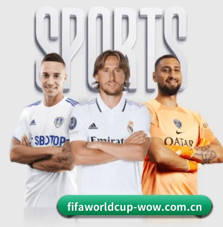 我们在做什么 - 长期内容价值积累(FIFA World Cup)